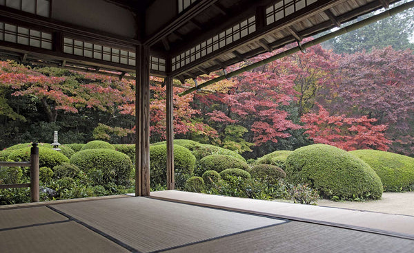 180-1-shisen-do_0_grande.jpg?v