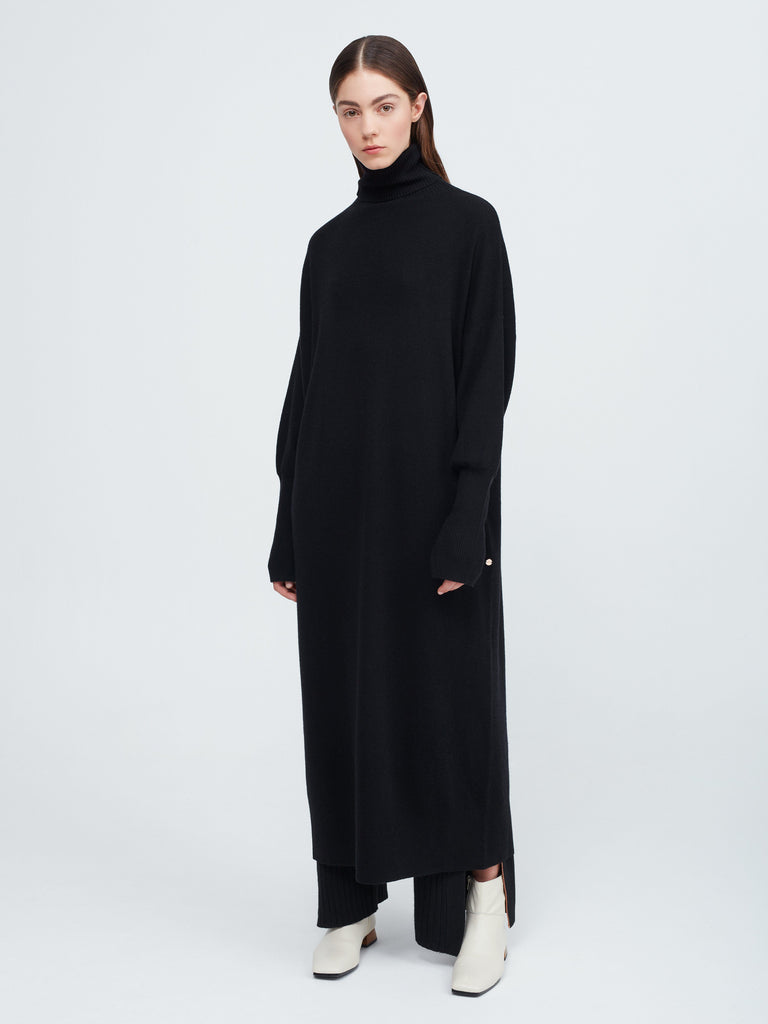 In the Moment Turtleneck Dress - Black - Movers & Cashmere